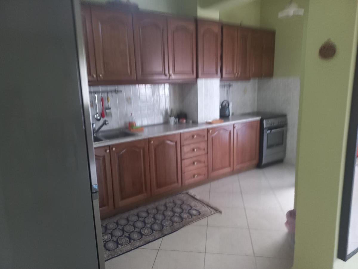 Big Apartment Next To Olympus Mountain リトコロン エクステリア 写真